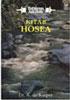 Tafsiran Alkitab: Kitab Hosea